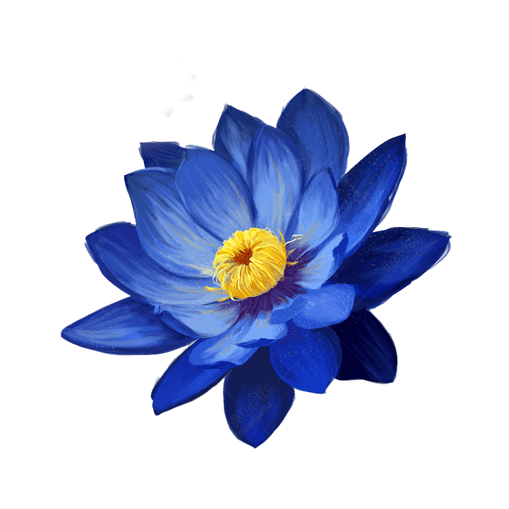 100% Natural Blue Lotus Powder Mood Enhancing Relieve Anxiety Aphrodisiac Effects Free Shipping
