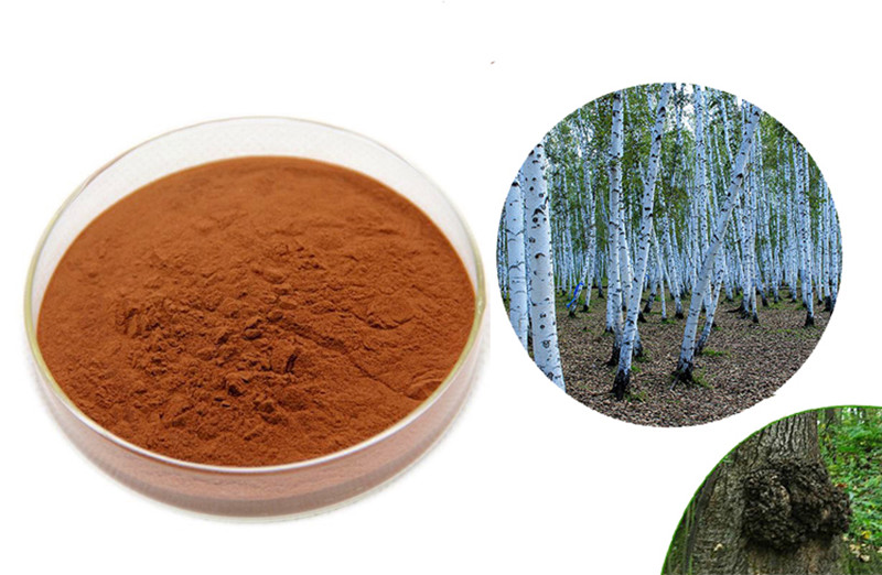 100% Natural Chaga Mushroom Powder Nourish the Skin and Hair Cancer Prevention Free Shipping